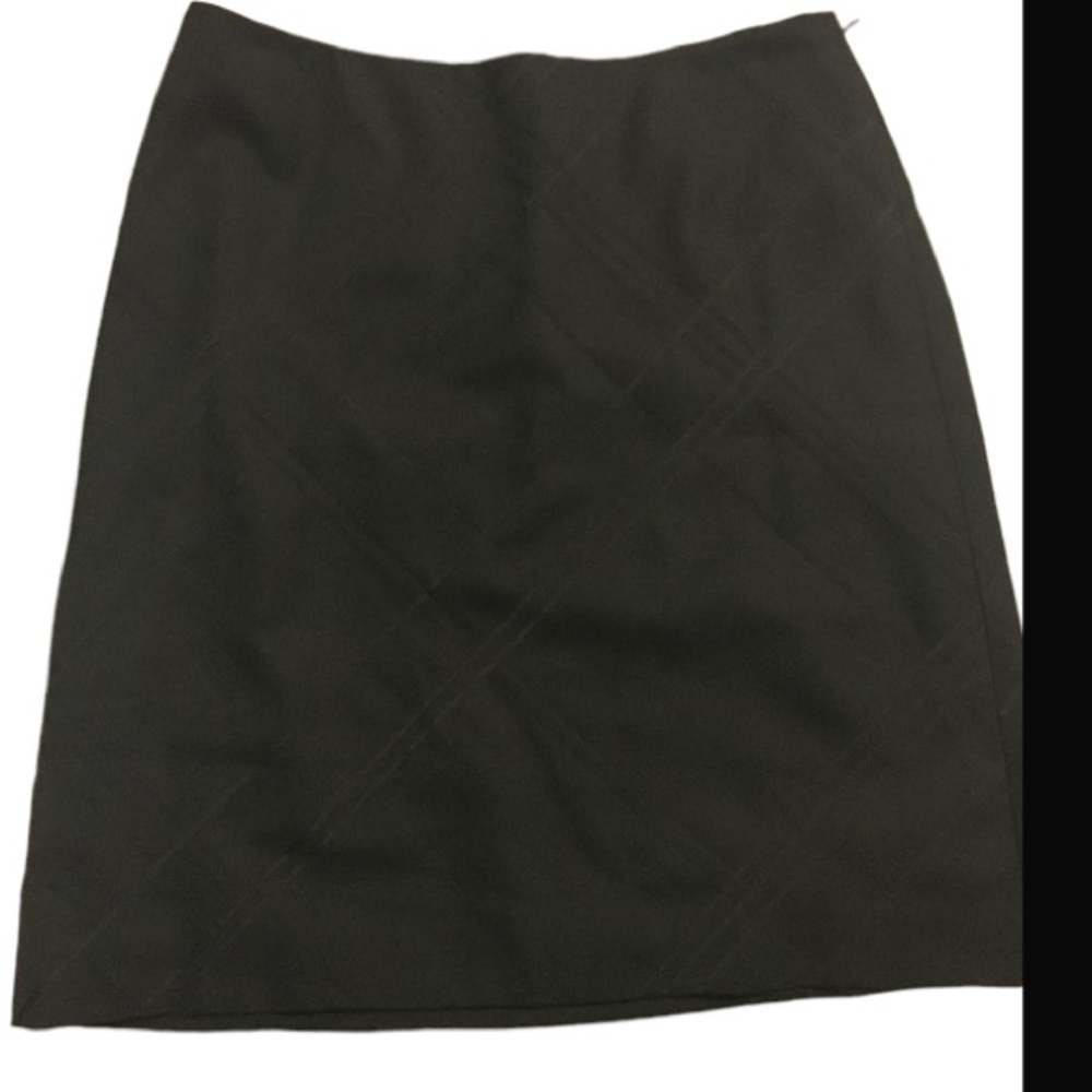 Ann Taylor Skirt 8P